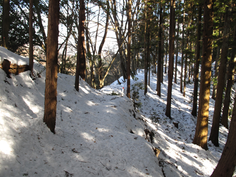 20180126hike (249)